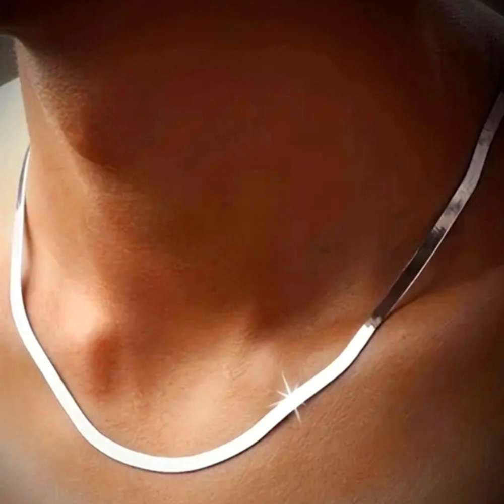 🆕️Silver Herringbone Necklace🥰